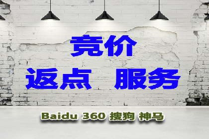 搜索开户返点攻略：案例分析赚钱机会